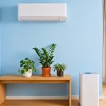 Cara Menjaga Kualitas Udara Rumah dengan AC dan Air Purifier