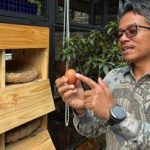 Inovasi RT 08 Malaka Jaya Duren Sawit Raih Penghargaan dari China